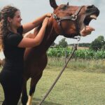 7d2b8ced-0401-4223-a159-cd8dd7c0255b