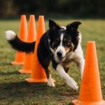 8ce4c0c6-1472-4231-9d82-d5418c0ae7dc